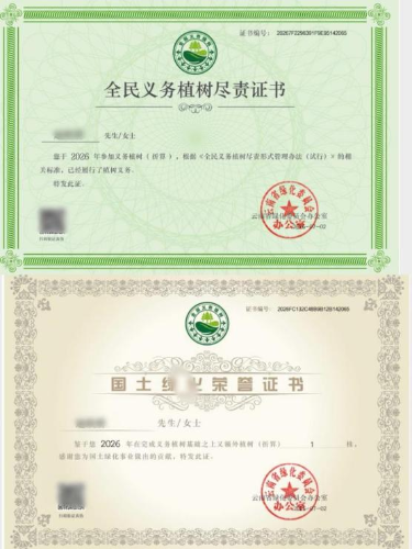 图片3
