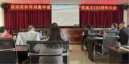 图片8