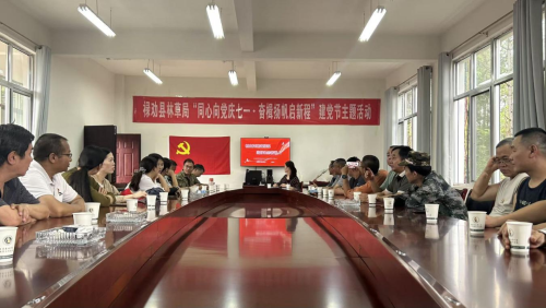 图片11