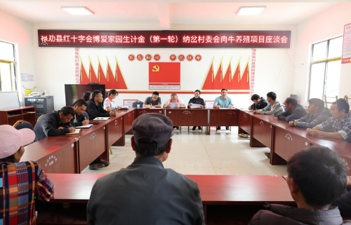 图片5