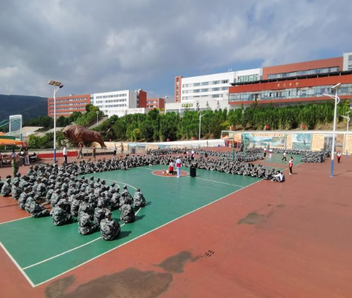 图片3