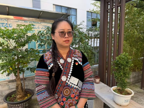 禄劝县屏山街道南街社区党委副书记 王建玲